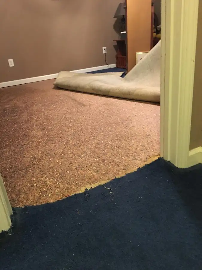 Carpet pad removal revealing water damage during Drying & Dehumidification in Edwardsville