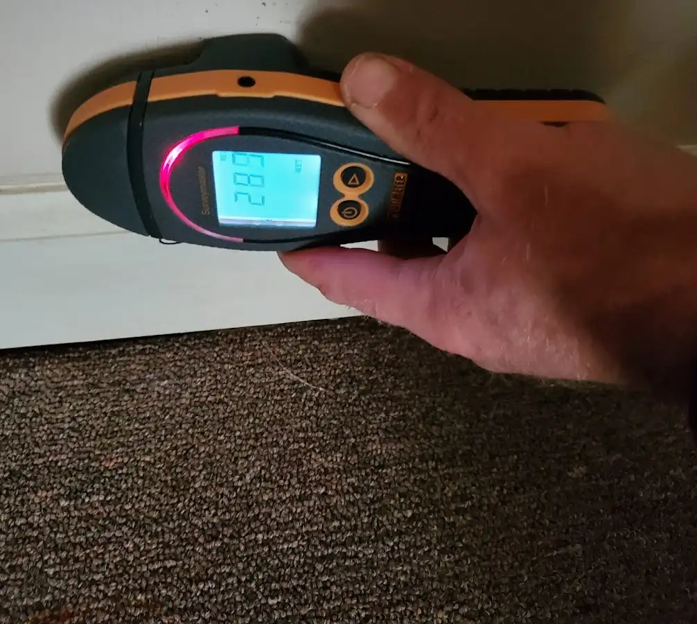 Moisture detection at baseboard during Mold Inspection & Testing in Edwardsville